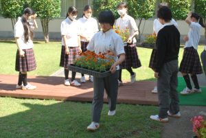 花づくり作業