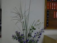 二高附属中生の制作した生け花です